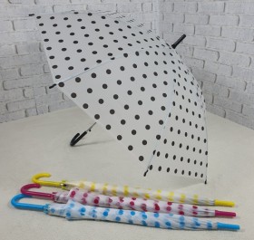 땡땡이 반투명 우산